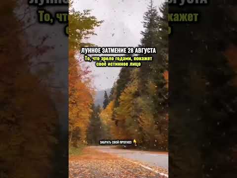 Пришлю ваш личный расчёт на коридор затмений ⬇️