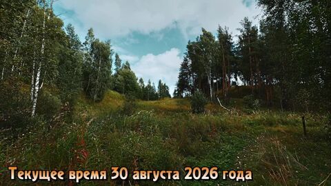 Текущее время 30 августа 2026 года