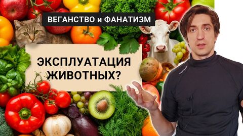 ВЕГАНСТВО и ФАНАТИЗМ: где заканчивается этика и начинается абсурд?