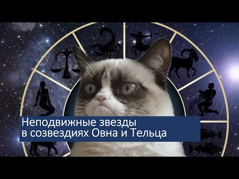 Зодиакальные созвездия Овен и Телец