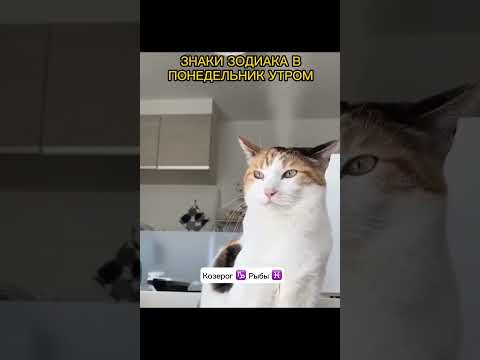 АСТРОПРОГНОЗ НА СЕНТЯБРЬ ⬇️ #астрология #гороскоп
