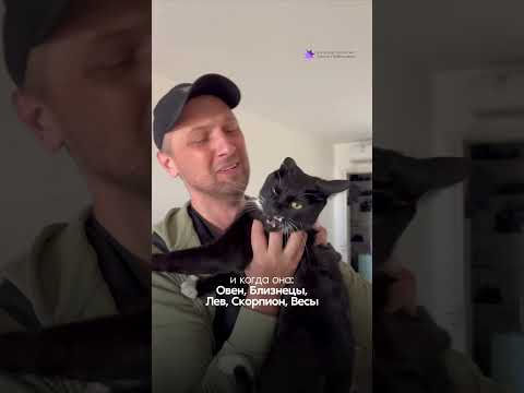Инструкция, как вести себя с женой в ссоре