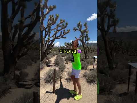 СТРЕЛЬЦЫ, ДЛЯ ВАС ПОДАРОК ⬇️