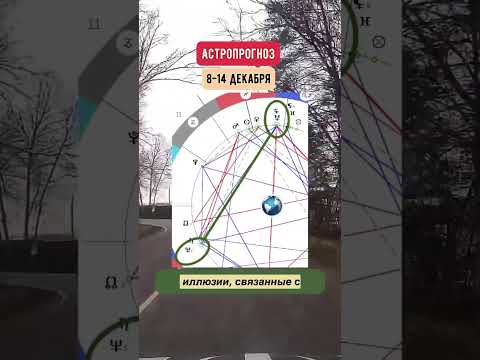 Гороскоп на неделю с 8 по 14 декабря. Коротко