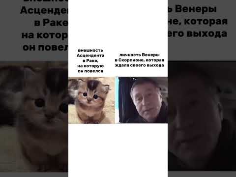 Такие контрасты 💁‍♀️ #астрология#астролог#венера#асцендент