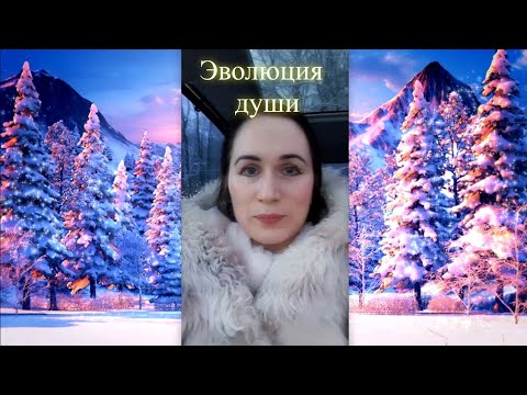 Эволюция души. Елена Бэкингерм 