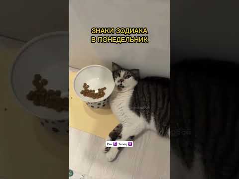 Октябрь проверит каждого на прочность ⬇️