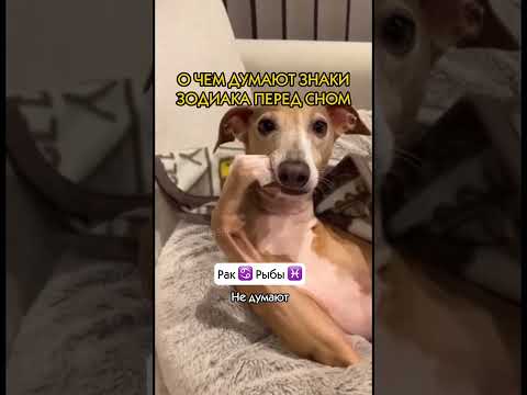 ЧТО ПРОИСХОДИТ? ЗАБРАТЬ ПРОГНОЗ  ⬇️ #прогноз #астрология