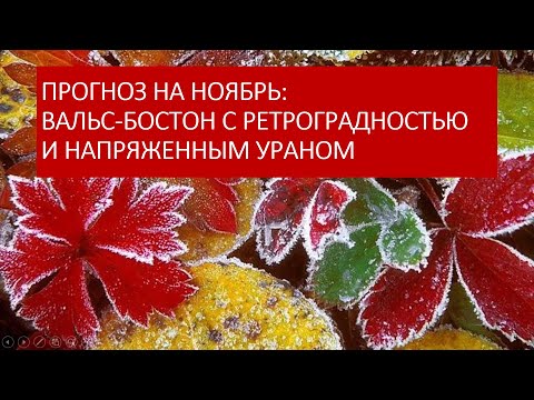 Астрологический прогноз на ноябрь