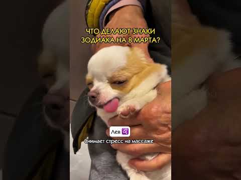 ЧТО ЖДЕТ ЗНАКИ В МАРТЕ? 👇🏼 #астрология