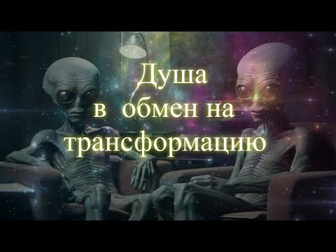 Душа в обмен на трансформацию. Елена, Дмитрий Бэкингерм