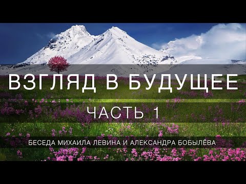 Взгляд в будущее, часть 1 // беседа Михаила Левина с Александром Бобылёвым