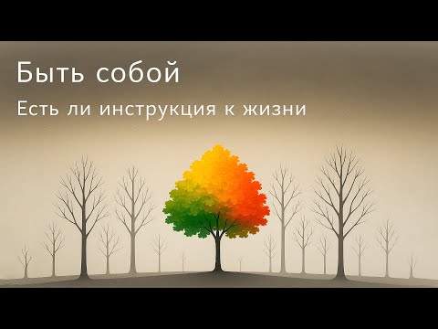 Быть собой  Есть ли инструкция к жизни.