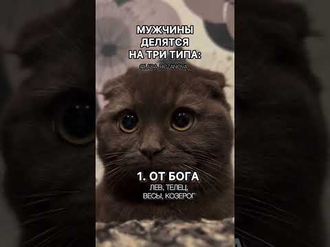 Три типа МУЖЧИН 😂 #астролог #шортс #ржу #ржунемогу #гороскоп #зодиак #смешно #котики #кот