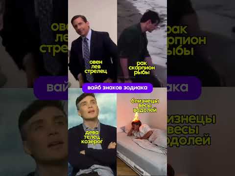Вайб знаков зодиака
