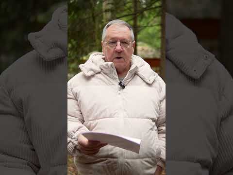 Универсальная формула успеха. #астрологпитченко #джйотиш #ведическаяпсихология