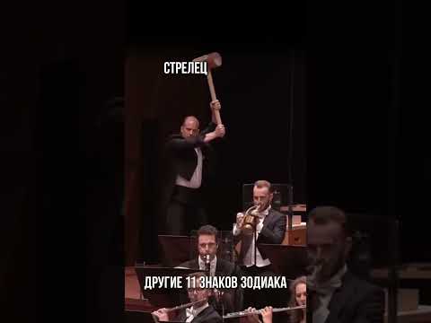 #стрелец #знакизодиака #юмор