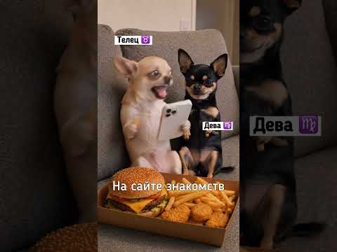 🤣 Я/Дева и подруга/Телец на мате Знакомств! Все реально так #дева #телец #сайтзнакомств #юмор #ржу