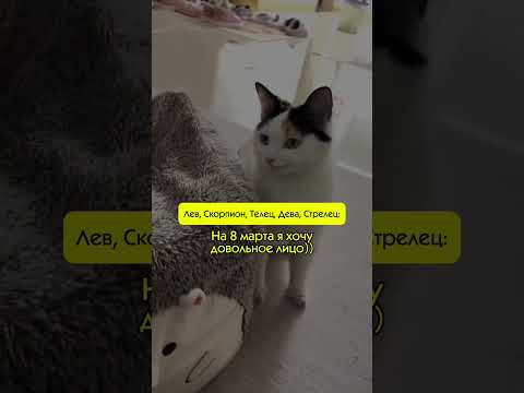 ЧТО ЖДЕТ ЗНАКИ В МАРТЕ? 👇🏼 #астрология