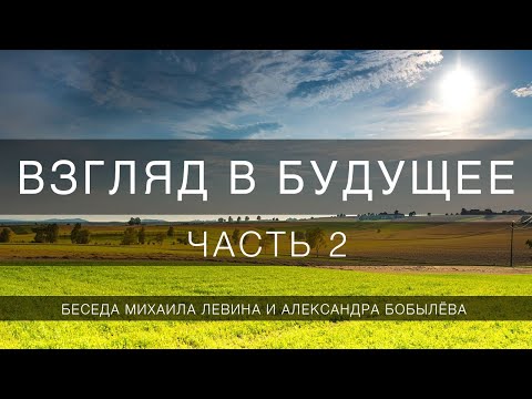 Взгляд в будущее, часть 2 // беседа Михаила Левина с Александром Бобылёвым