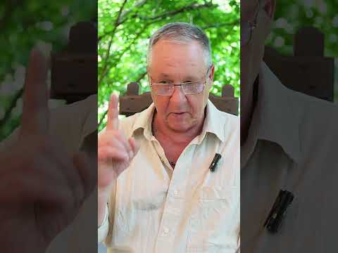 Как выйти замуж за иностранца? #астрологпитченко #школаведическойастрологии #джйотиш