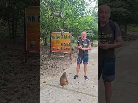 Преподавание астрологии в тропических лесах